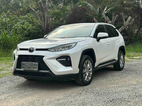 Toyota Wildlander 2021