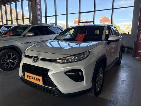 Toyota Wildlander 2020