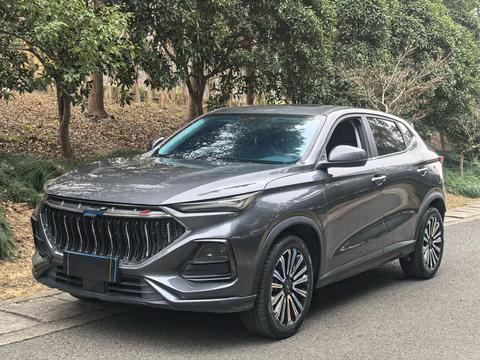 Changan Oshan X5 2022