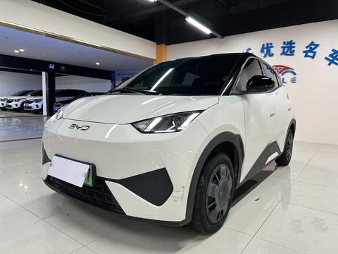 BYD Seagull 2025