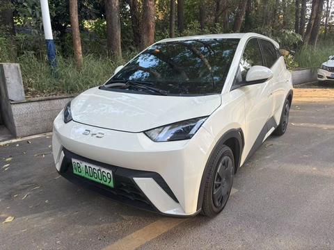 BYD Seagull 2025