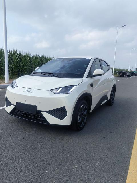 BYD Seagull 2025