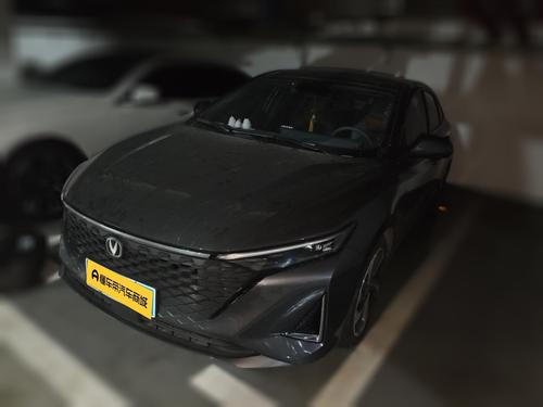 Changan Raeton Plus 2023