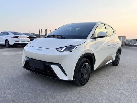 BYD Seagull 2024