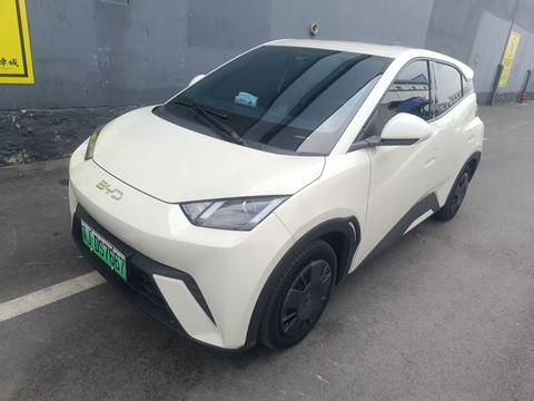 BYD Seagull 2024