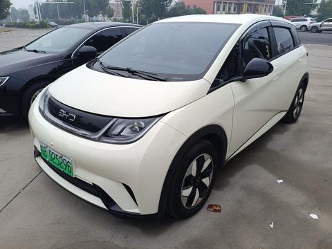BYD Dolphin 2025