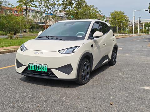 BYD Seagull 2025