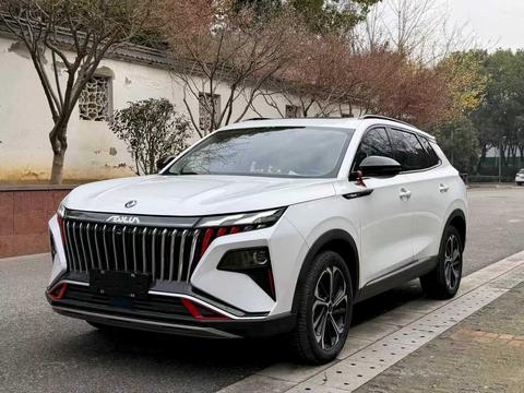Dongfeng Haoji 2024