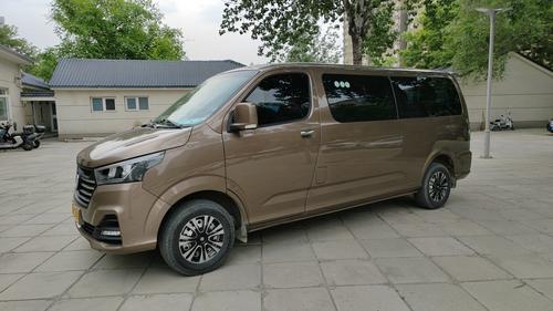Foton View G5 2022
