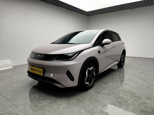 BYD Dolphin 2025