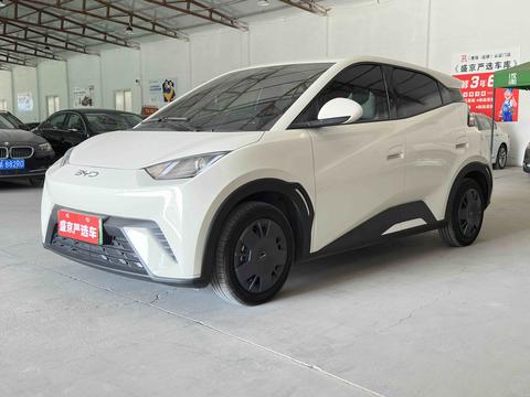 BYD Seagull 2025