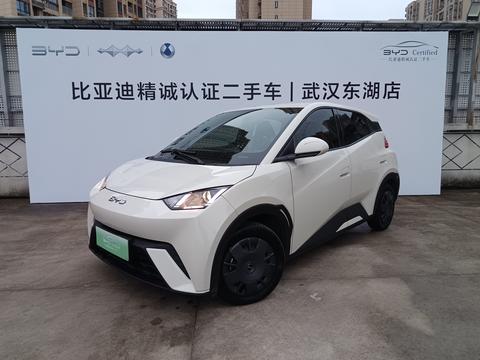 BYD Seagull 2023–2025