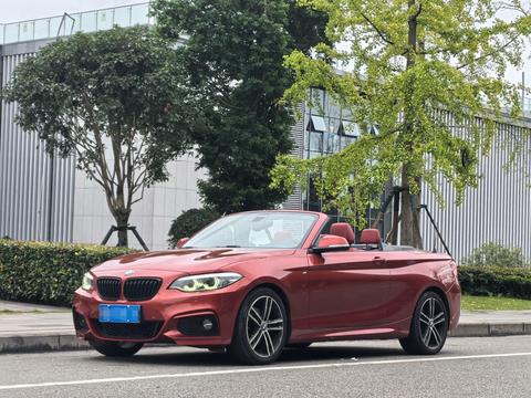 BMW 2 Series 2019
