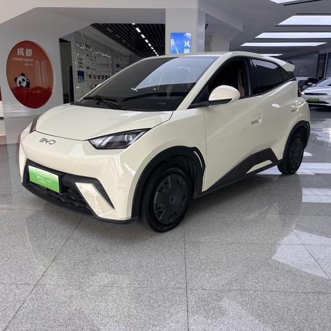 BYD Seagull 2024