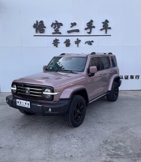 Tank 300 2021