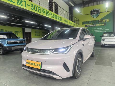 BYD Dolphin 2025