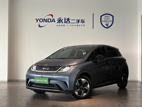 BYD Dolphin 2024