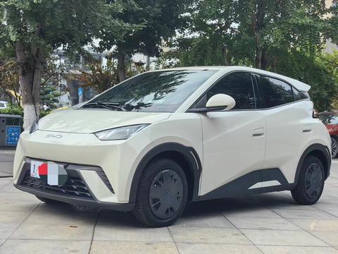 BYD Seagull 2025
