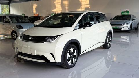 BYD Dolphin 2025