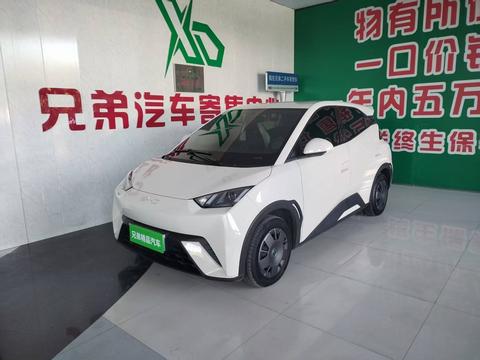 BYD Seagull 2025