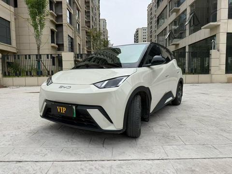 BYD Seagull 2025