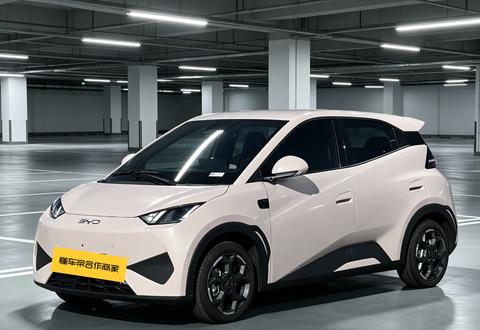 BYD Seagull 2025