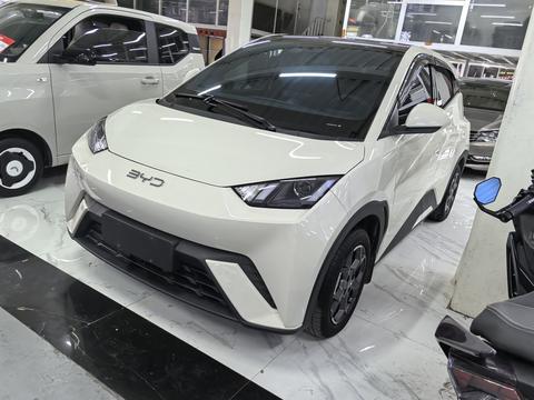 BYD Seagull 2024