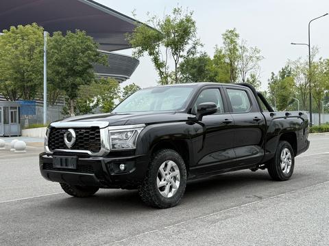 Great Wall King Kong Poer 2023