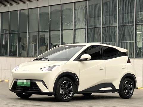 BYD Seagull 2025
