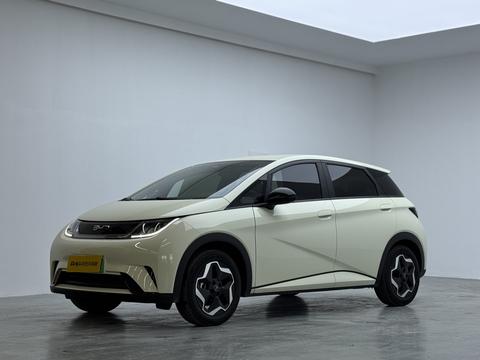 BYD Dolphin 2025
